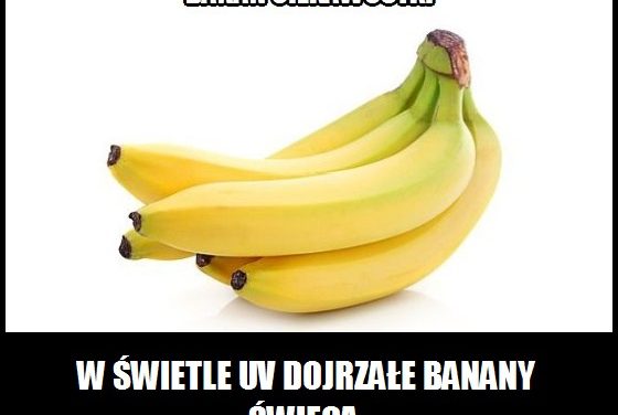 Jak wygląda banan w świetle UV?