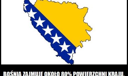 Jaki procent terenu kraju zajmuje Bośnia, a jaki Hercegowina?