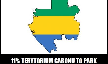Jaki procent Gabonu stanowią parki narodowe?