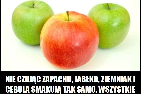 Kiedy jabłko, ziemniak i cebula smakują tak samo?