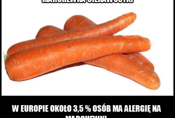 Ile procent osób w Europie ma alergię na marchewkę?
