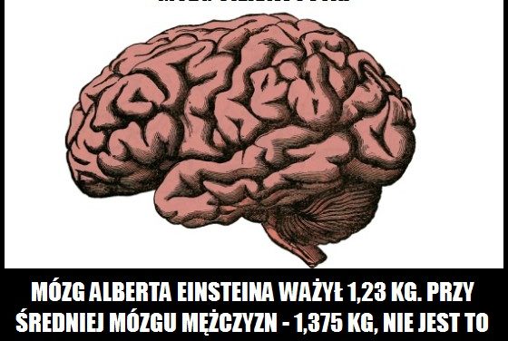 Ile ważył mózg Einsteina?