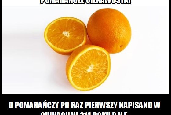 Kiedy po raz pierwszy napisano o pomarańczy?