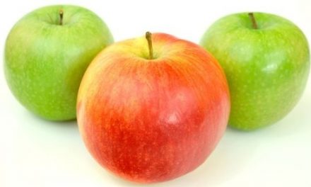 Quiz o owocach – część 1
