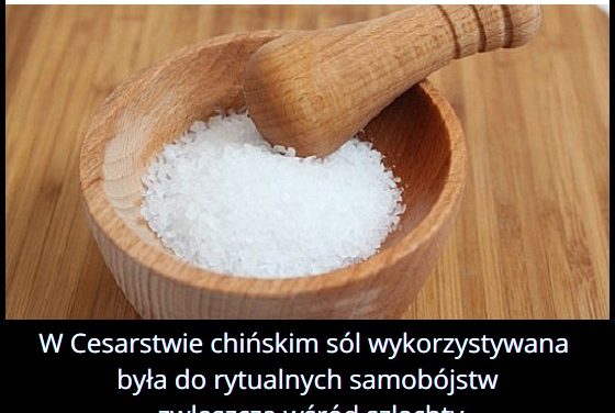 Do czego wykorzystywana była sól w cesarstwie chińskim?
