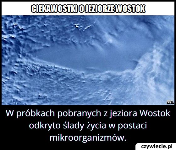 Co odnaleziono w próbkach pobranych z jeziora Wostok?