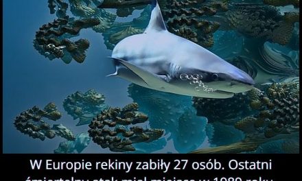 W którym roku po raz ostatni miał miejsce śmiertelny atak rekina w Europie?