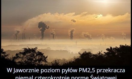 Które miasto w Polsce uznawane jest za jedno z najbardziej zanieczyszczonych w Europie?