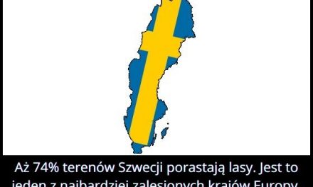 Ile procent terenów Szwecji porastają lasy?