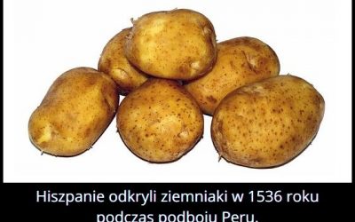 W którym roku
  Hiszpanie odkryli ziemniaki?