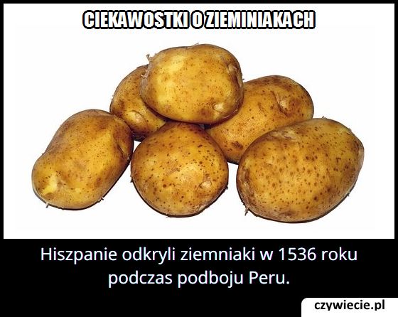 W którym roku
  Hiszpanie odkryli ziemniaki?