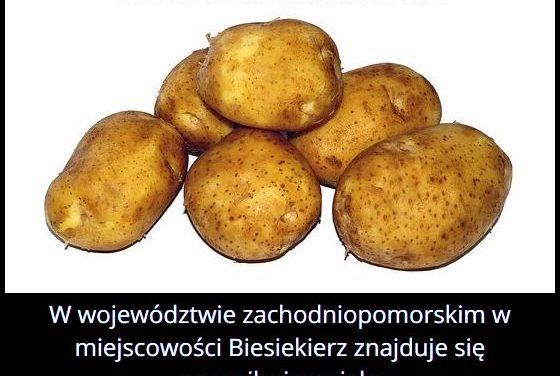 Gdzie w Polsce znajduje się pomnik ziemniaka?