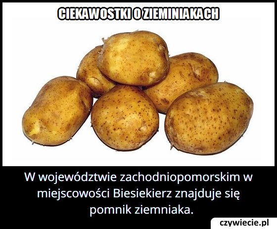 Gdzie w Polsce znajduje się pomnik ziemniaka?