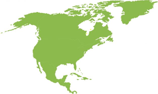 Ile jest krajów w Ameryce Północnej?